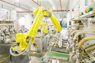 江門日報多媒體報刊的技術開發與數字化轉型