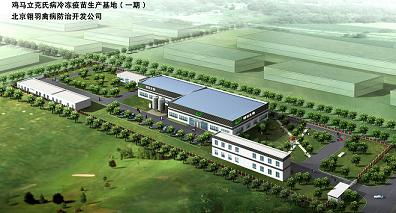 北京翎羽禽病防治技術開發與服務體系