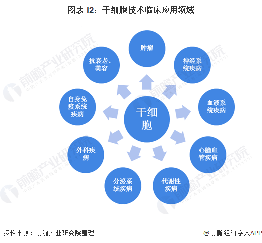 干細(xì)胞技術(shù)的臨床應(yīng)用領(lǐng)域與開(kāi)發(fā)前景